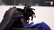 长期计划！切尔西官方：昆达正式加盟，双方签约至2034年！