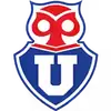 智利大学