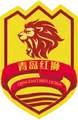 青岛红狮U20